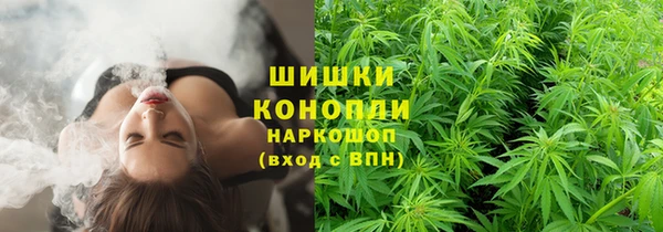 твердый Абаза
