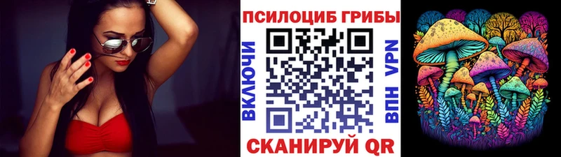 даркнет сайт  Каменногорск  Галлюциногенные грибы ЛСД 